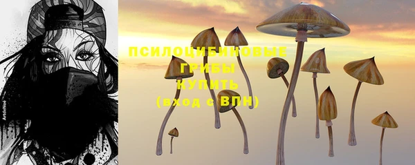2c-b Слюдянка
