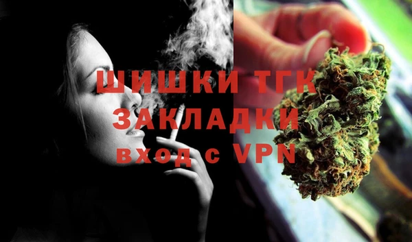 сатива Барнаул