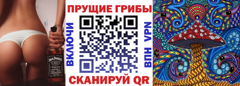 Псилоцибиновые грибы MAGIC MUSHROOMS  KRAKEN как зайти  Александровск 