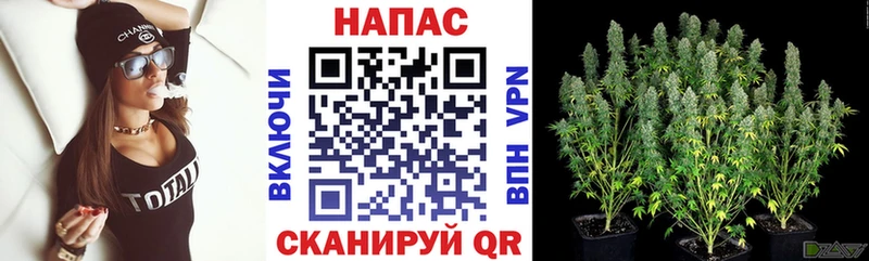 KRAKEN зеркало  купить закладку  Александровск  Бошки марихуана сатива 